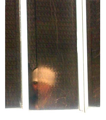 Pensive Man - 
     Bangkok, Thailand   - Photography by Katherine Keck 