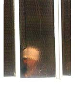 Photography by Kitty Keck