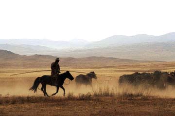 Don't Fence Me In   -   Outer Mongolia - Photography by Katherine Keck 