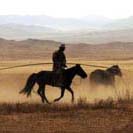 Photography by Kitty Keck