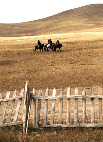 Picket Fence   -   Outer Mongolia - Photography by Katherine Keck 